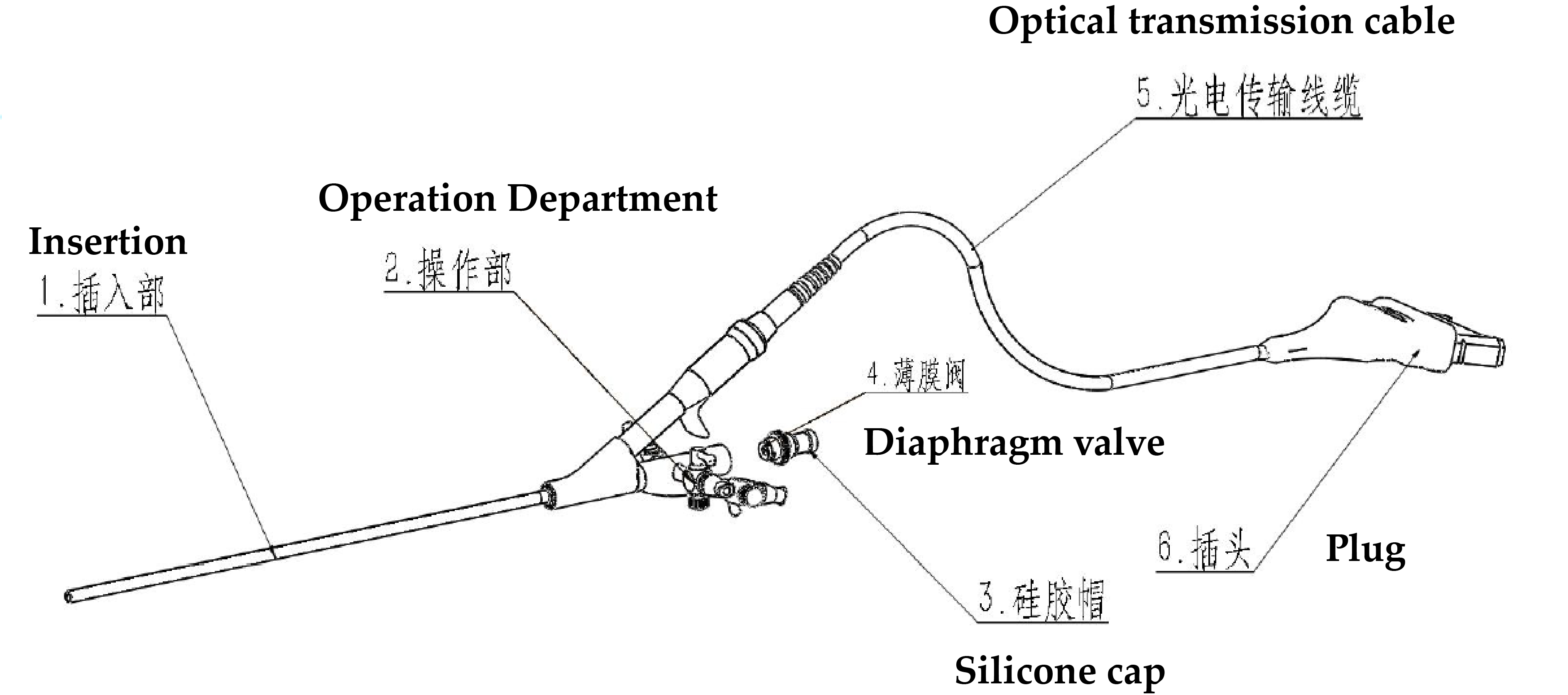 rigid electronic cystopyeloscope Schematic diagram